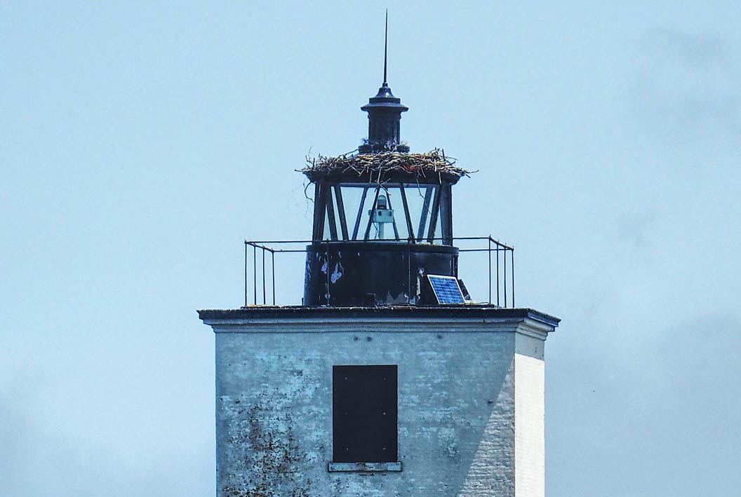Dutch Island Lighthouse