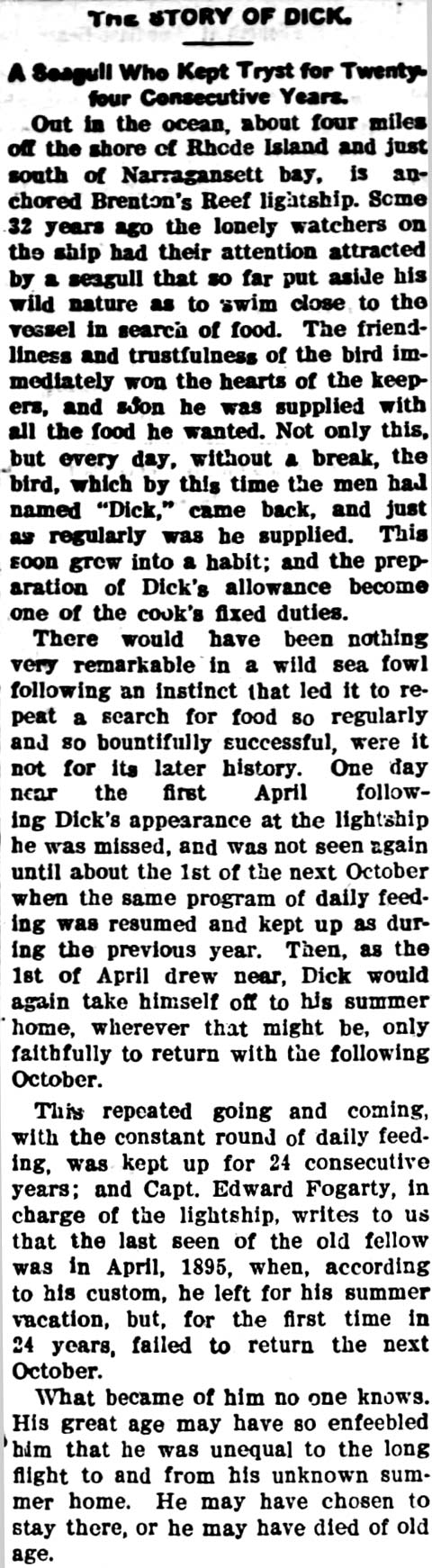 THE STORY OF DICK